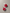 Glossy minimalistic cherry rounds